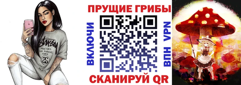 Псилоцибиновые грибы GOLDEN TEACHER  Ковылкино 